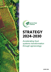 2024-2030 战略